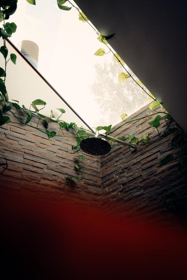 セヴェル・ド・ヴォウガ Casa Sobreirosヴィラ エクステリア 写真